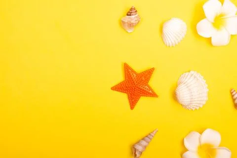 Flat lay summer background or composition Stock Photos