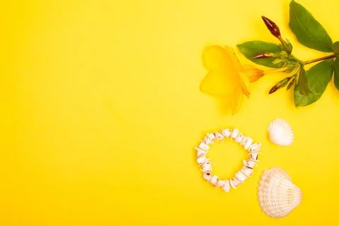 Flat lay summer background or composition Stock Photos