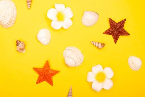 Flat lay summer background or composition Stock Photos