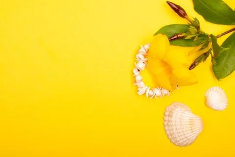 Flat lay summer background or composition Stock Photos