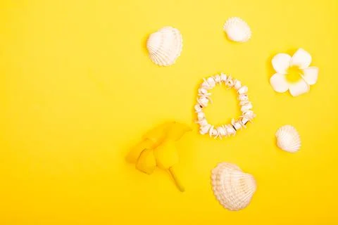 Flat lay summer background or composition Stock Photos