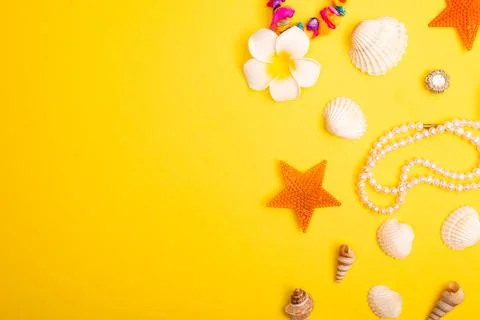 Flat lay summer background or composition Stock Photos