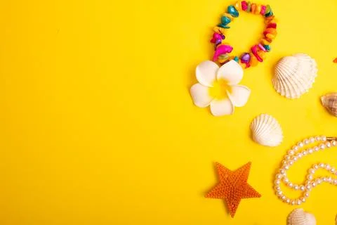 Flat lay summer background or composition Stock Photos