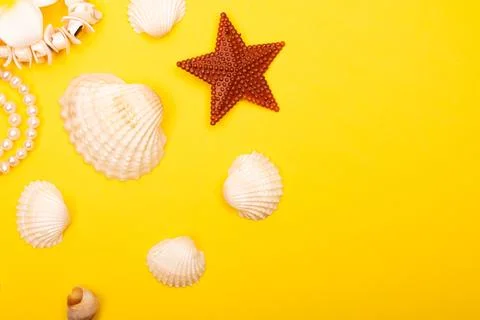 Flat lay summer background or composition Stock Photos