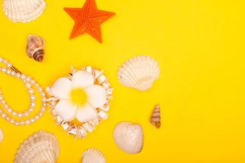 Flat lay summer background or composition Stock Photos