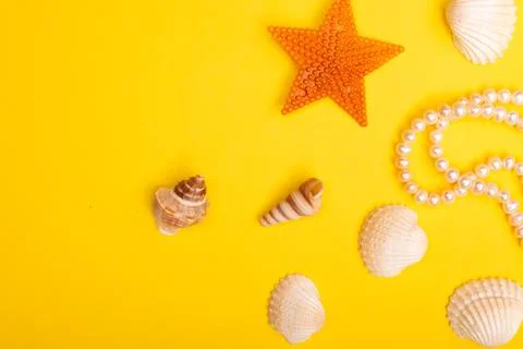 Flat lay summer background or composition Stock Photos