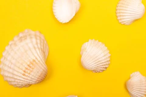 Flat lay summer background or composition Stock Photos