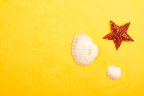 Flat lay summer background or composition Stock Photos