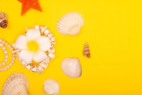 Flat lay summer background or composition Stock Photos