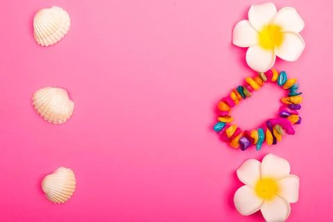 Flat lay summer background or composition Stock Photos