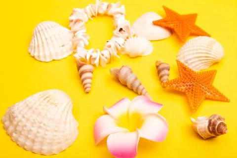 Flat lay summer background or composition Stock Photos