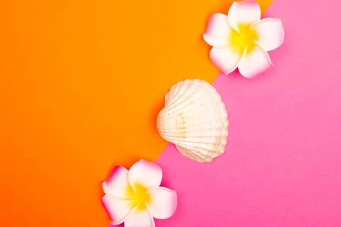 Flat lay summer background or composition Stock Photos