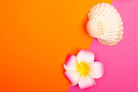 Flat lay summer background or composition Stock Photos