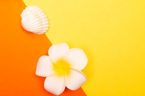 Flat lay summer background or composition Stock Photos