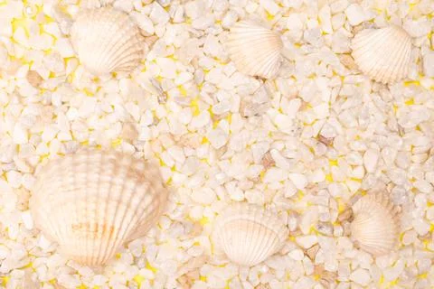 Flat lay summer background or composition Stock Photos