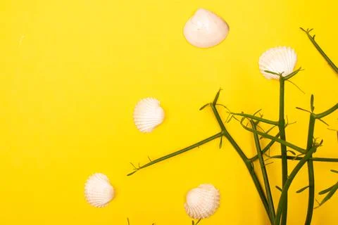 Flat lay summer background or composition Stock Photos