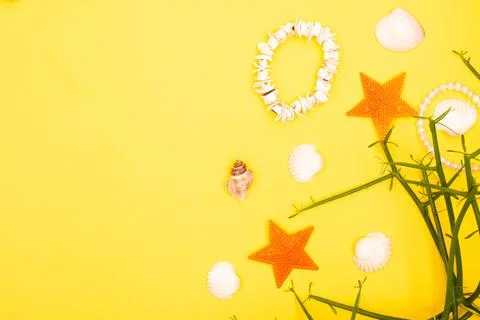 Flat lay summer background or composition Stock Photos