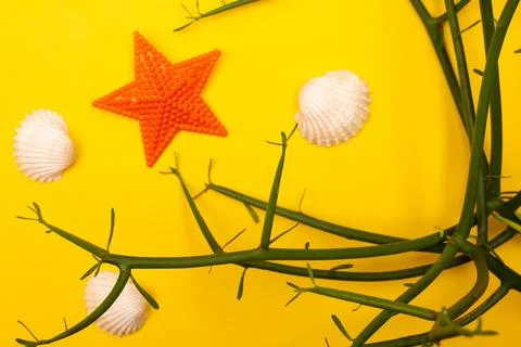 Flat lay summer background or composition Stock Photos