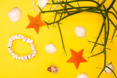 Flat lay summer background or composition Stock Photos