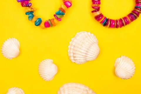 Flat lay summer background or composition Stock Photos