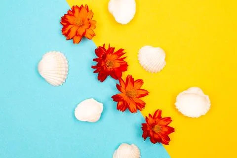 Flat lay summer background or composition Stock Photos