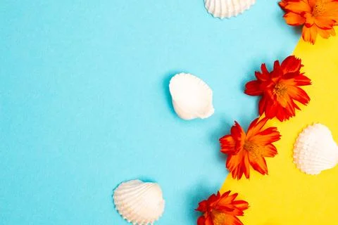 Flat lay summer background or composition Stock Photos