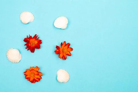 Flat lay summer background or composition Stock Photos