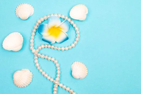 Flat lay summer background or composition Stock Photos