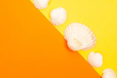 Flat lay summer background or composition Stock Photos
