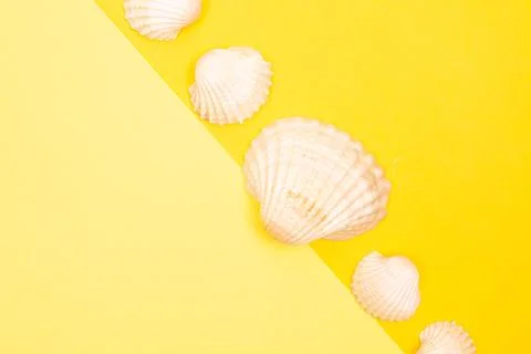 Flat lay summer background or composition Stock Photos