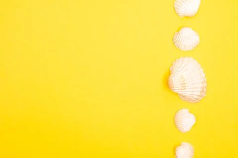 Flat lay summer background or composition Stock Photos