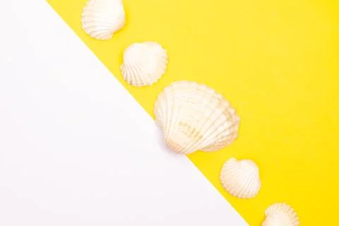 Flat lay summer background or composition Stock Photos
