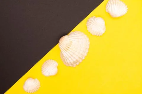 Flat lay summer background or composition Stock Photos