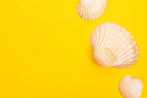 Flat lay summer background or composition Stock Photos