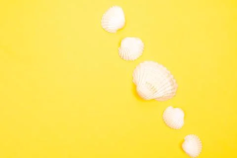 Flat lay summer background or composition Stock Photos