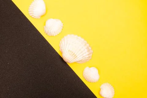 Flat lay summer background or composition Stock Photos