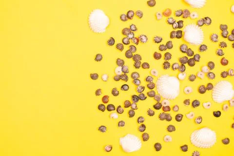 Flat lay summer background or composition Foto stock