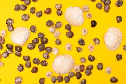 Flat lay summer background or composition Stock Photos