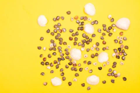 Flat lay summer background or composition Stock Photos