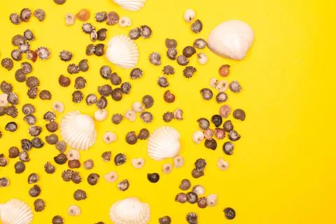 Flat lay summer background or composition Stock Photos