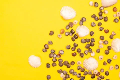 Flat lay summer background or composition Stock Photos