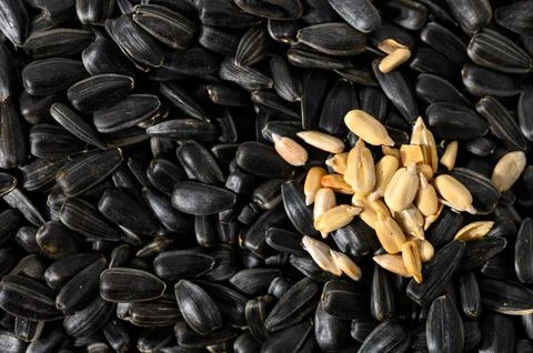 Flat Lay of Sunflower Seeds and Shelled Kernels 库存照片