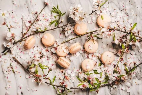Flat-lay of sweet macaron cookies and spring blossom flowers Stock Photos