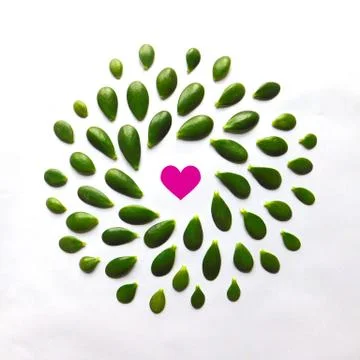 Flat lay, top view of circle of leaves with pink heart Stock Photos