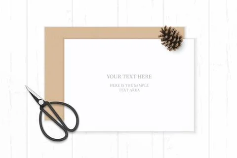 Flat lay top view elegant white composition paper kraft envelope pine cone an Illustrazione stock
