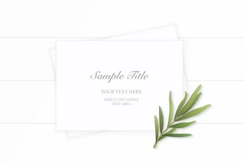 Flat lay top view elegant white composition paper plant tarragon leaf on wood 스톡 일러스트