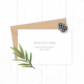 Flat lay top view elegant white composition letter kraft paper envelope pine  Illustrazione stock