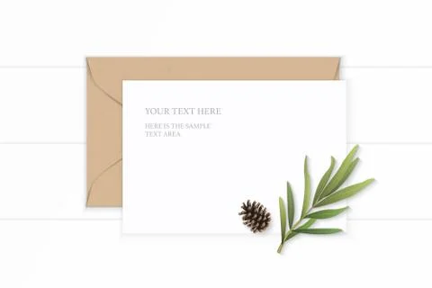 Flat lay top view elegant white composition letter kraft paper envelope pine  Illustrazione stock