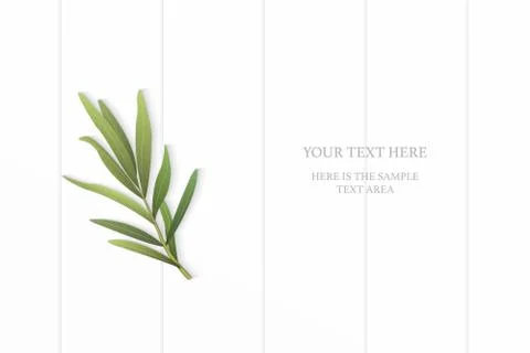 Flat lay top view elegant white composition tarragon leaf on wooden floor bac Stock Illustration
