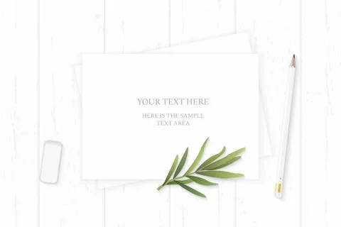 Flat lay top view elegant white composition paper pencil tarragon leaf and er Stock Illustration